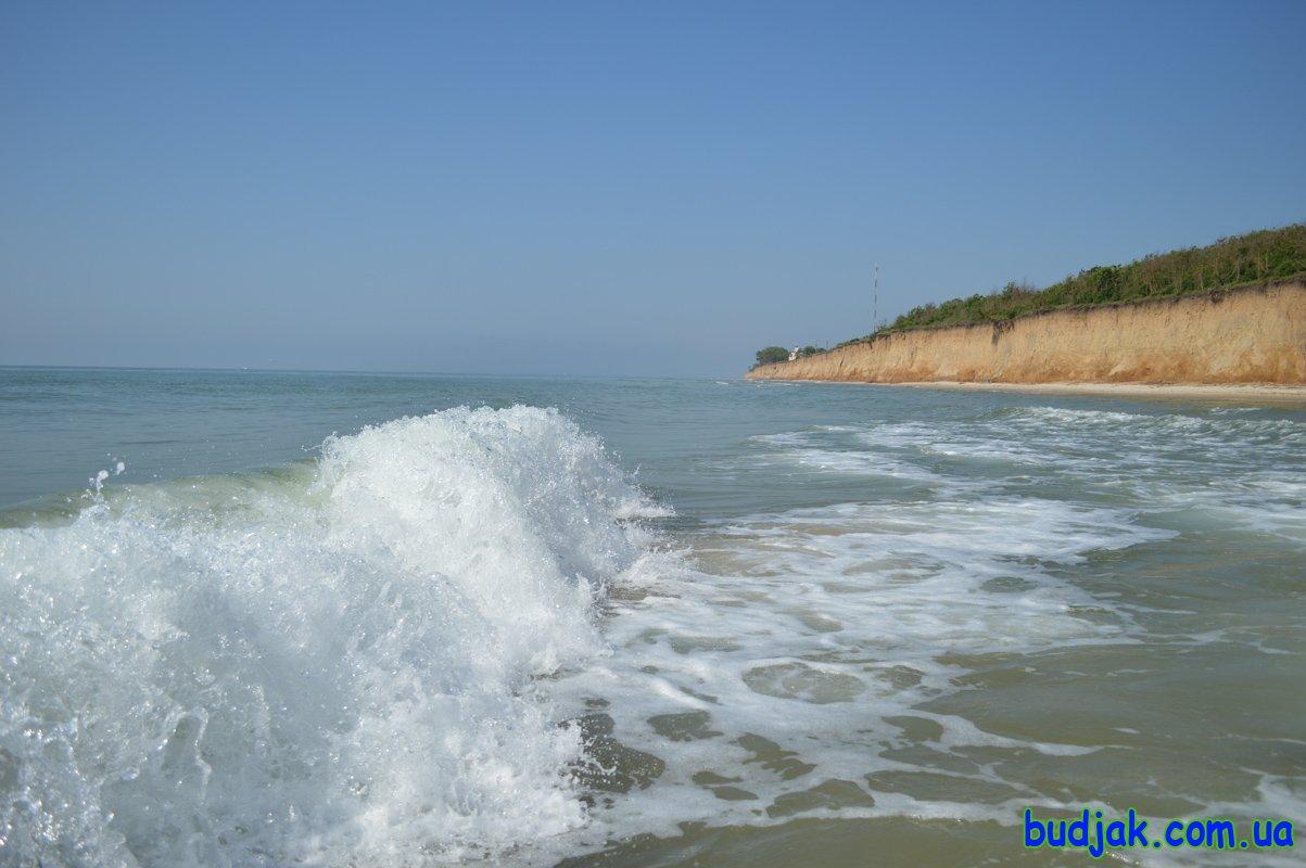 Море, пляж, дельфины на курорте Лебедевка