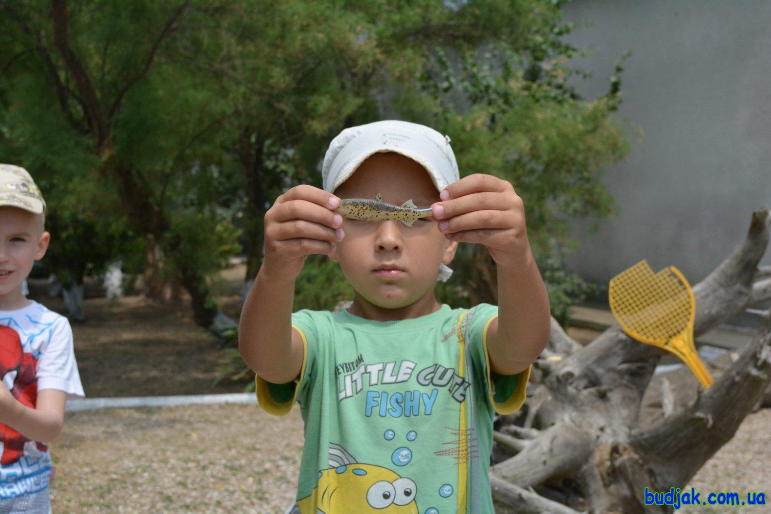 База отдыха «Плай» на курорте Рассейка. Фото № 017