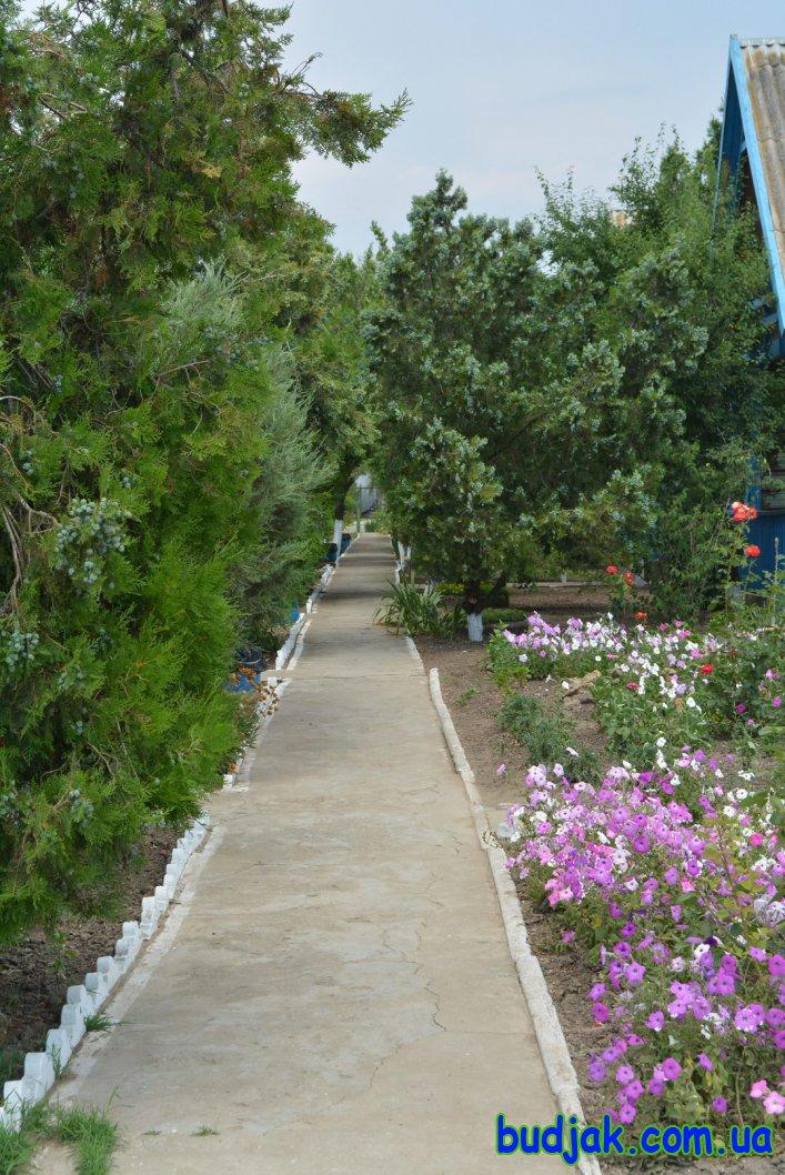 База отдыха «Плай» на курорте Рассейка. Фото № 020