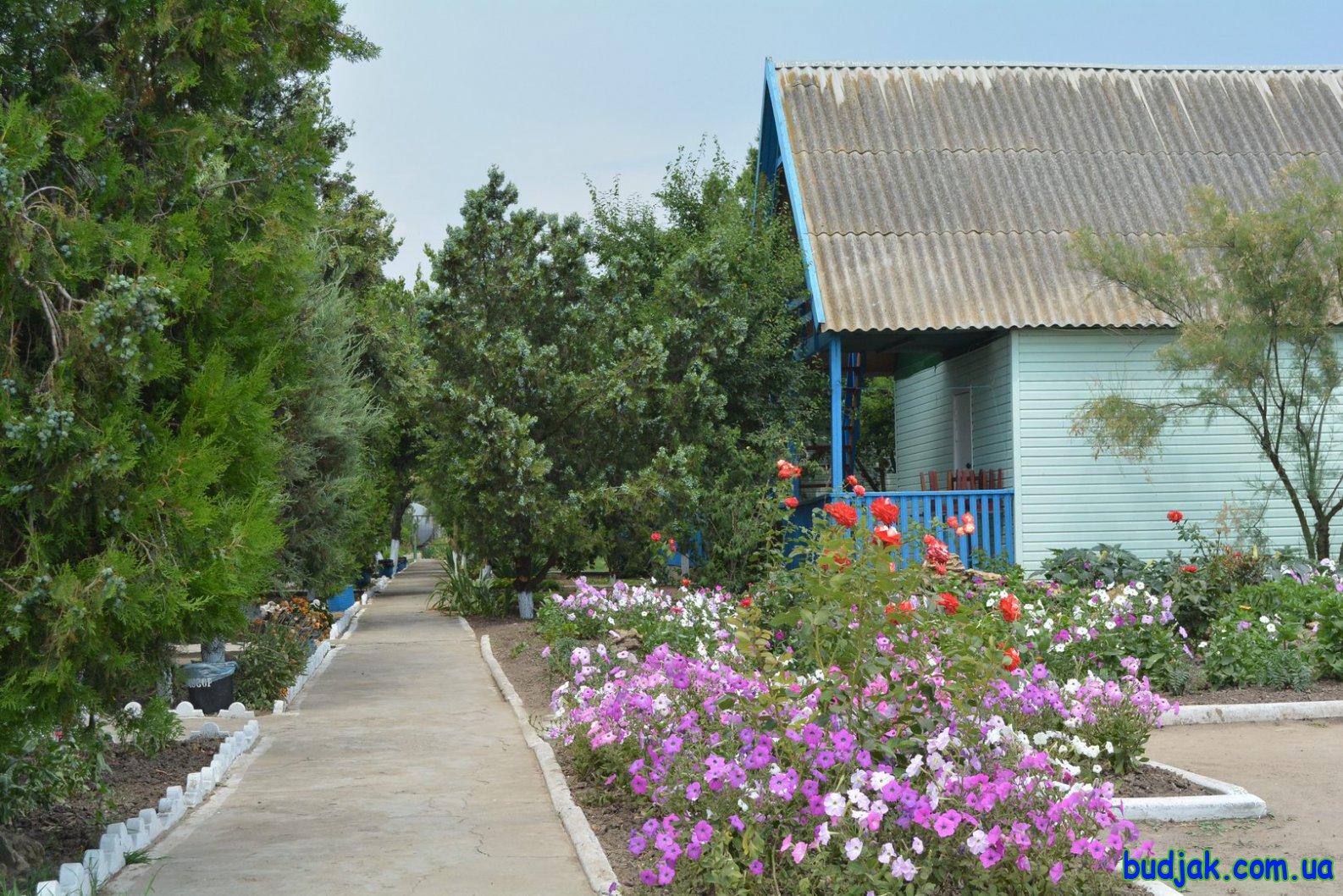 База отдыха «Плай» на курорте Рассейка. Фото № 021