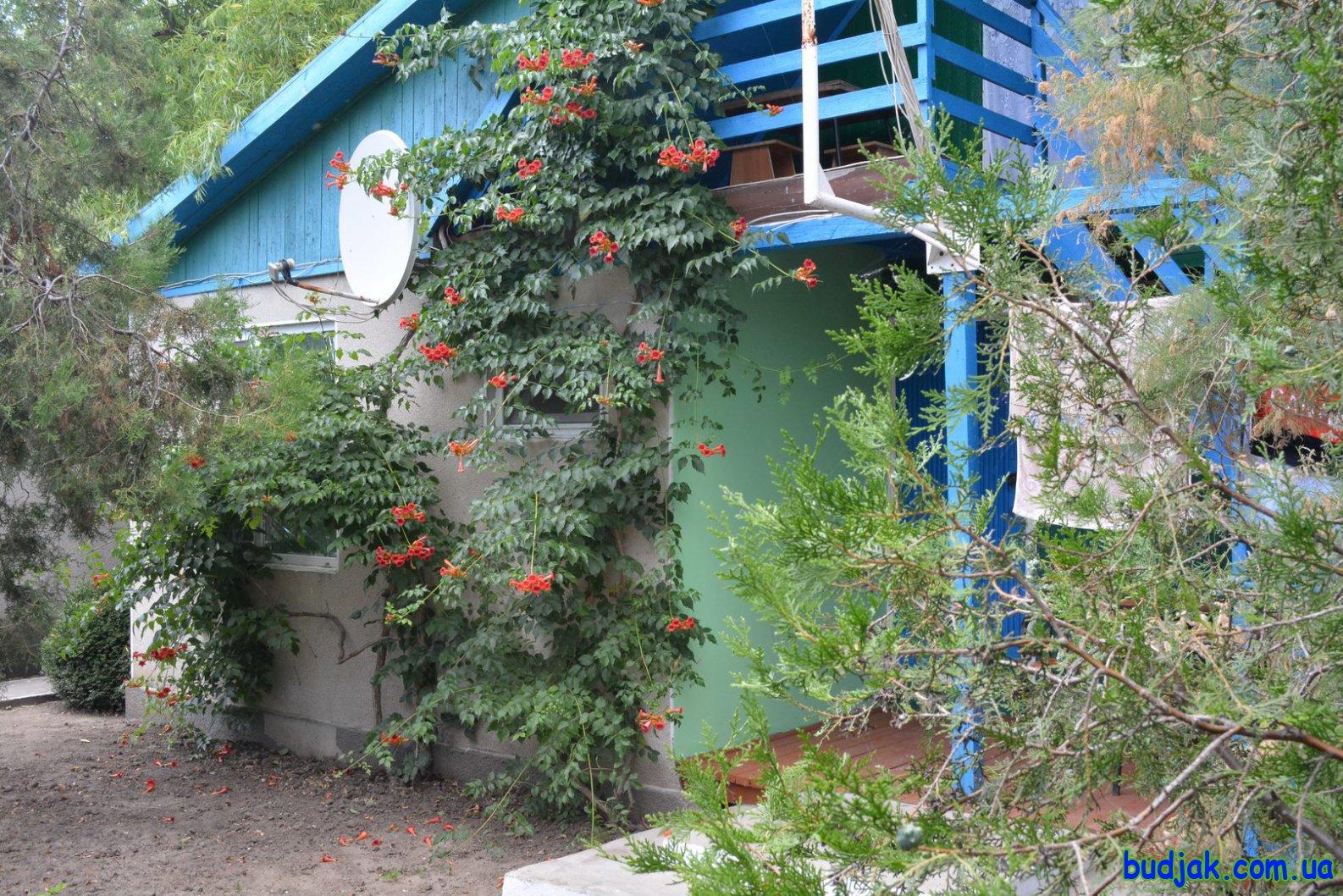 База отдыха «Плай» на курорте Рассейка. Фото № 024