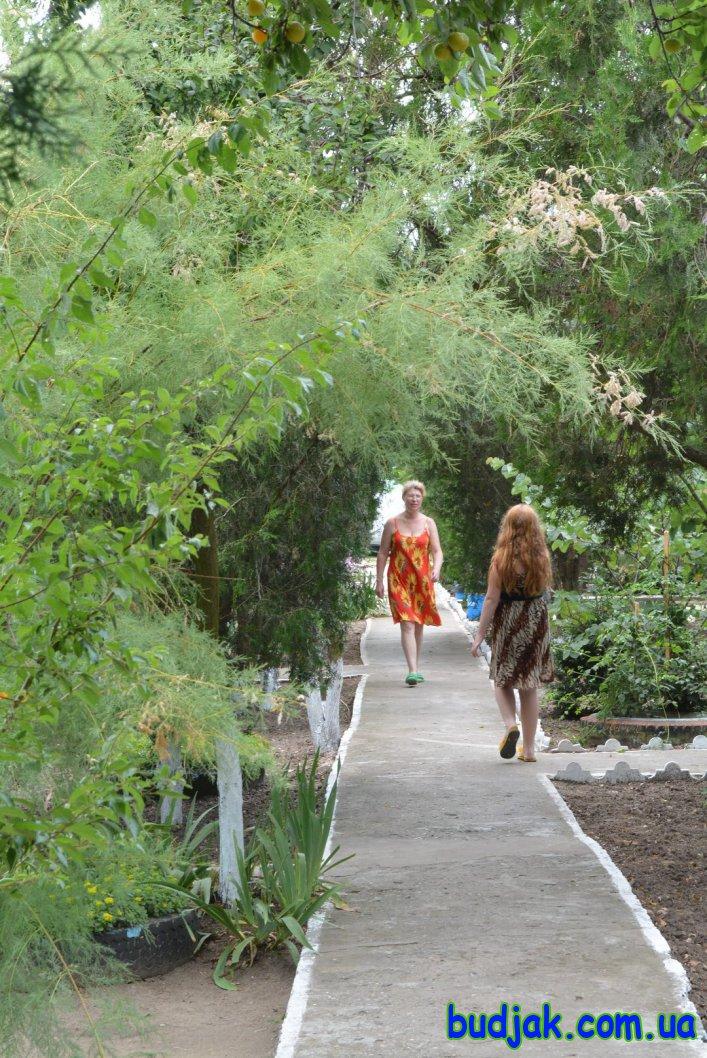 База отдыха «Плай» на курорте Рассейка. Фото № 027