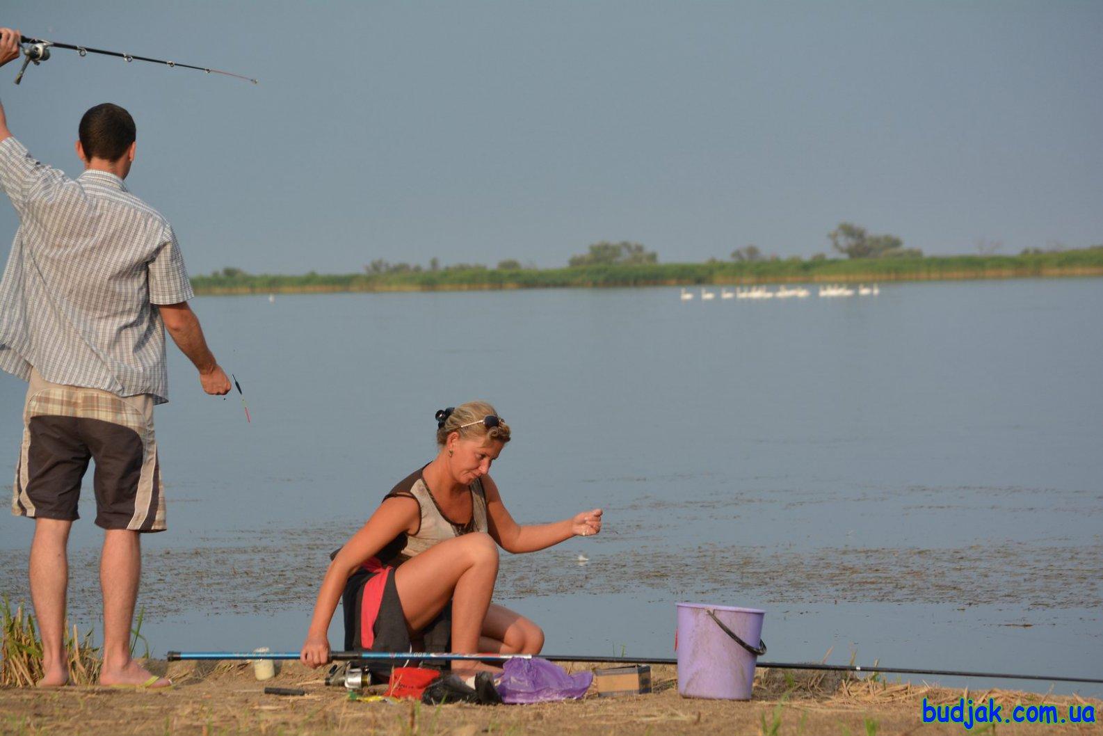 База отдыха «Плай» на курорте Рассейка. Фото № 037