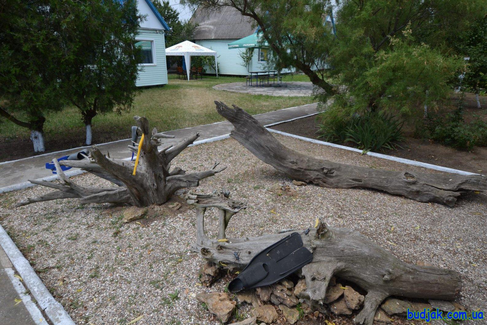 База отдыха «Плай» на курорте Рассейка. Фото № 086