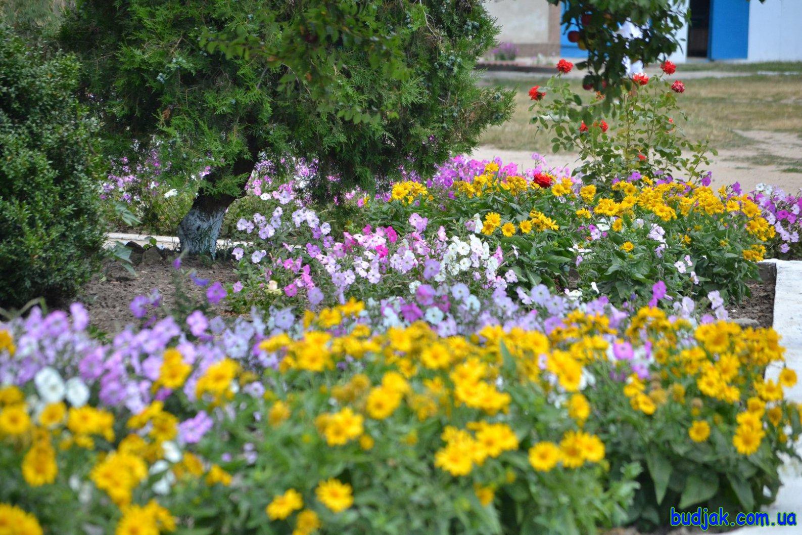 База отдыха «Плай» на курорте Рассейка. Фото № 087