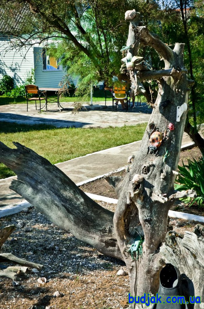 Территория базы отдыха Плай (Рассейка)baza_plai_rasseika_dsc_1725